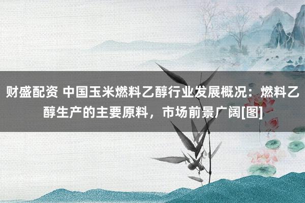 财盛配资 中国玉米燃料乙醇行业发展概况：燃料乙醇生产的主要原料，市场前景广阔[图]