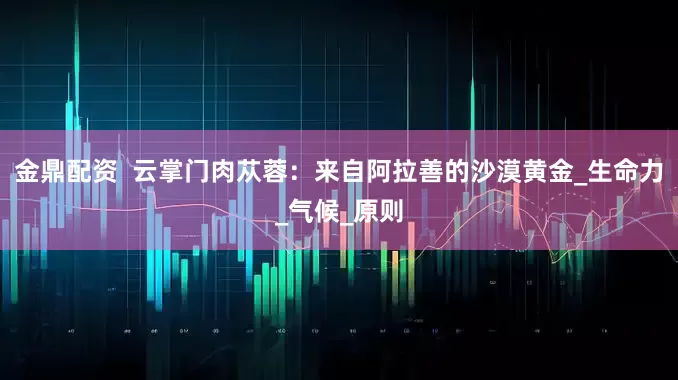 金鼎配资  云掌门肉苁蓉：来自阿拉善的沙漠黄金_生命力_气候_原则