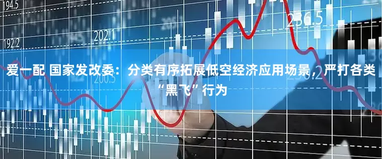 爱一配 国家发改委：分类有序拓展低空经济应用场景，严打各类“黑飞”行为