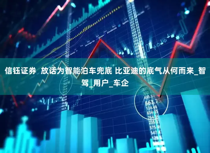 信钰证券  放话为智能泊车兜底 比亚迪的底气从何而来_智驾_用户_车企